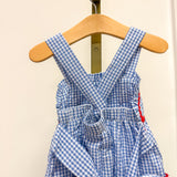 Blue Gingham Crawfish Layered Sundress