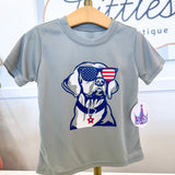 Lab Dog USA Grey Drifit