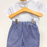 Blue Gingham USA Flag T-Shirt and Shorts Set