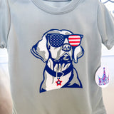 Lab Dog USA Grey Drifit