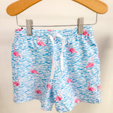 Fancy Flamingo Swim Shorts