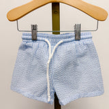 Blue Stripe Swim Trunks