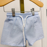 Blue Stripe Swim Trunks