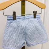 Blue Stripe Swim Trunks