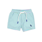 Sherbet Stripe Swim Trunk