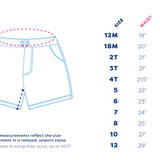 Sherbet Stripe Swim Trunk